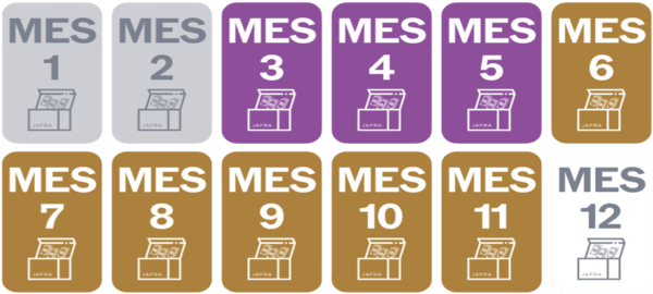 12 meses